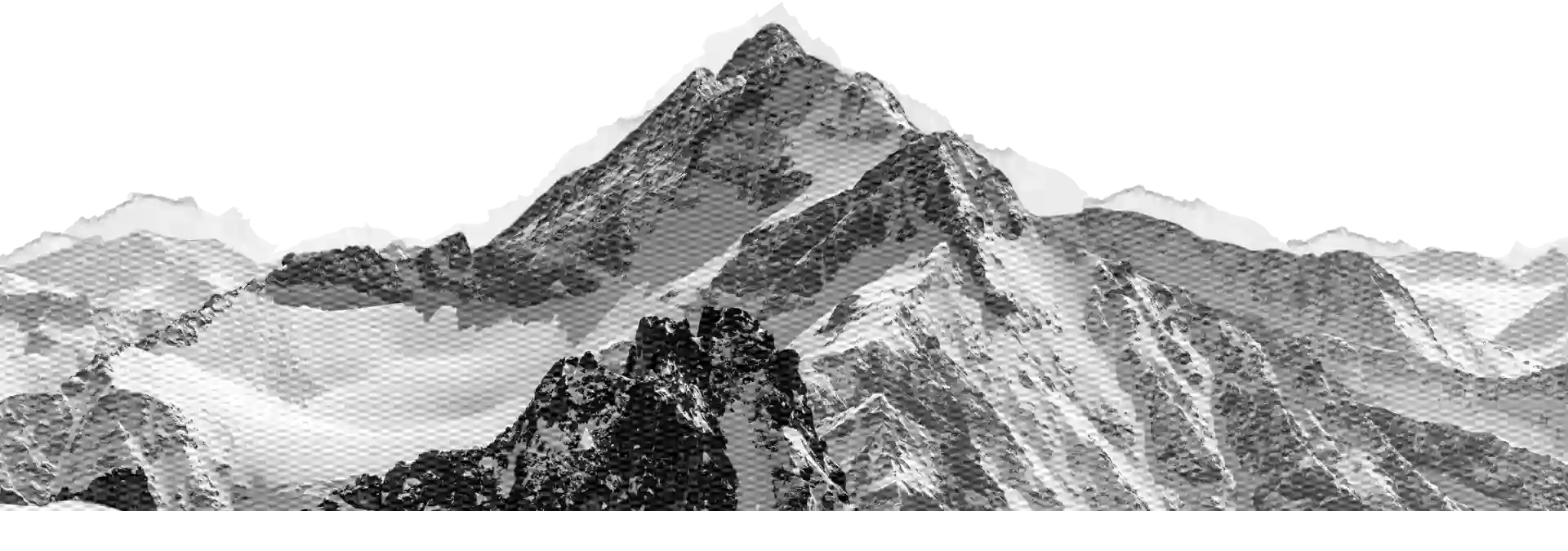 Main Image 1